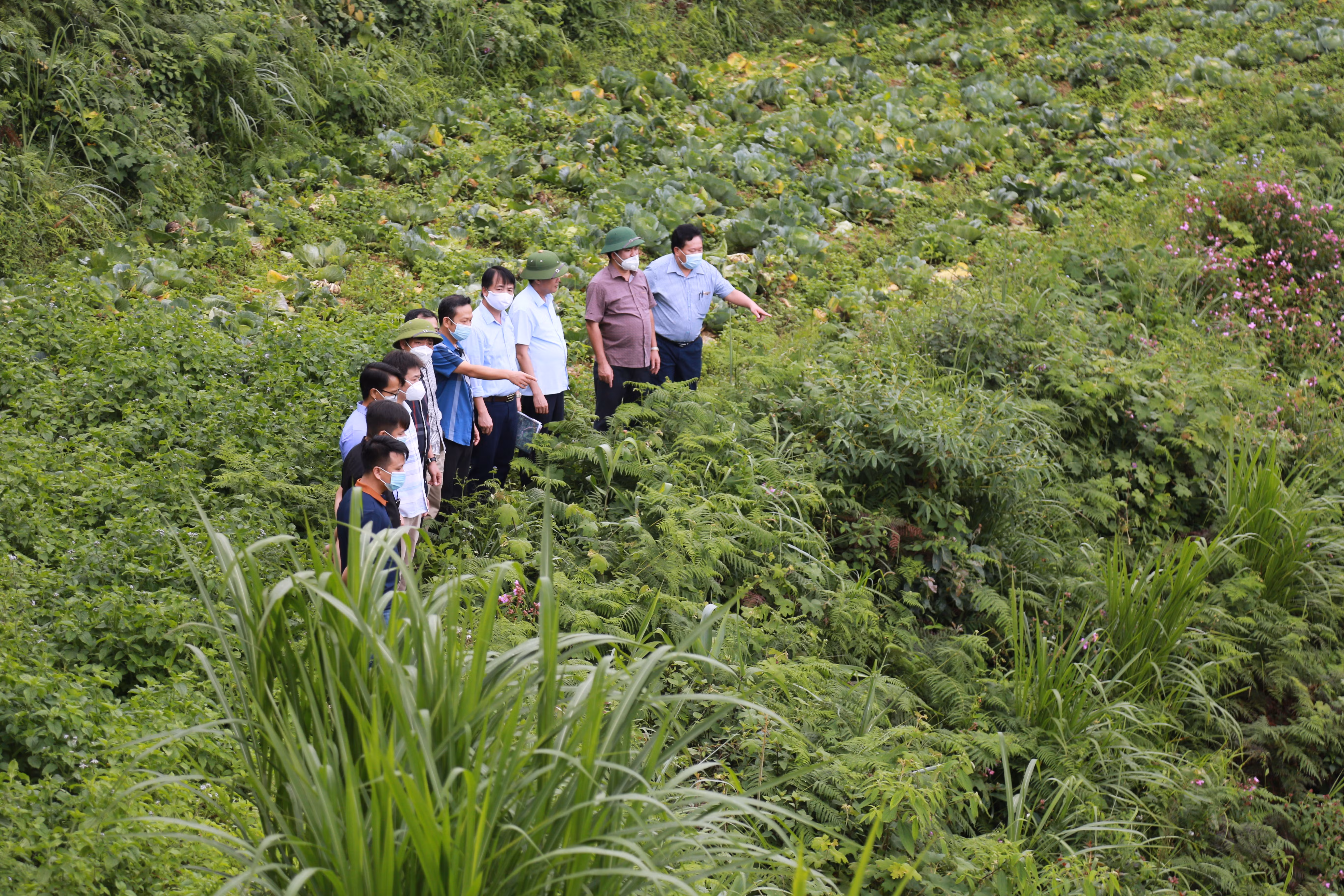 Chặng đường hoàn thiện quy hoạch tỉnh Lào Cai thời kỳ 2021 - 2030 ảnh 5 Chặng đường hoàn thiện quy hoạch tỉnh Lào Cai thời kỳ 2021 - 2030 ảnh 5