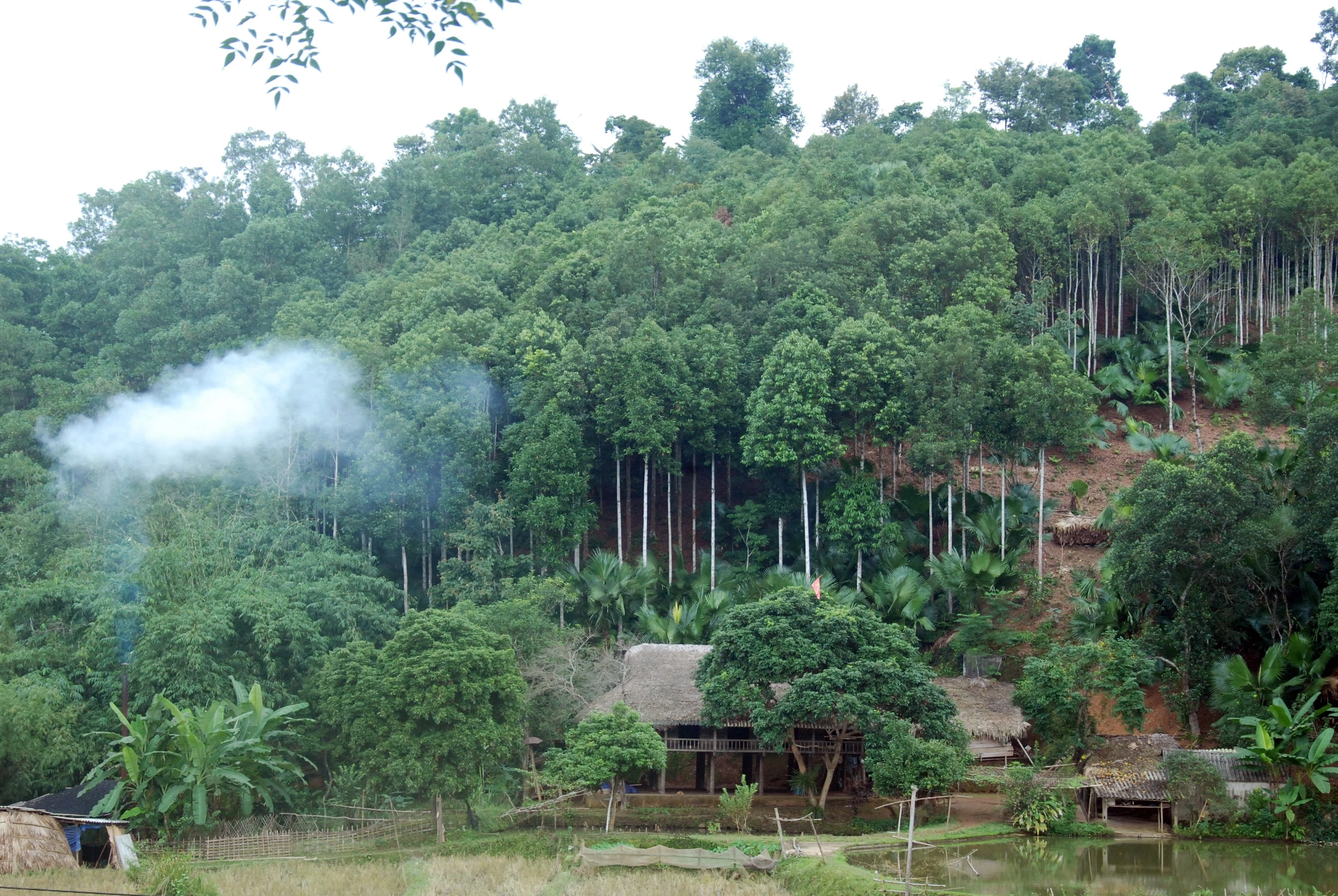 Vĩnh Yên chú trọng nâng cao thu nhập cho người dân ảnh 1