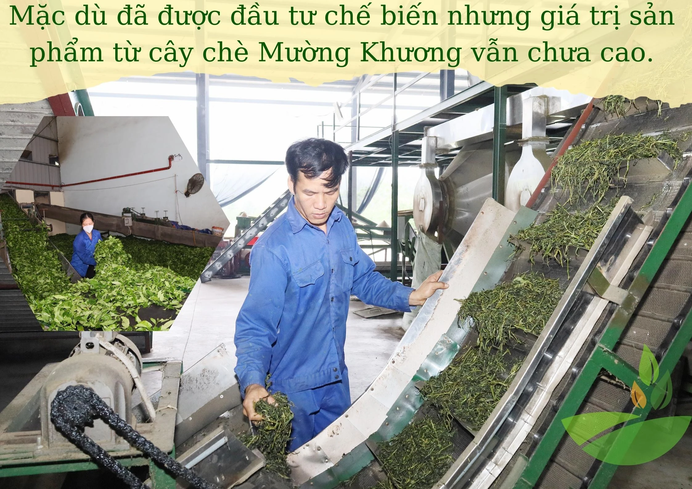 Thu hút đầu tư chế biến nông sản ảnh 3