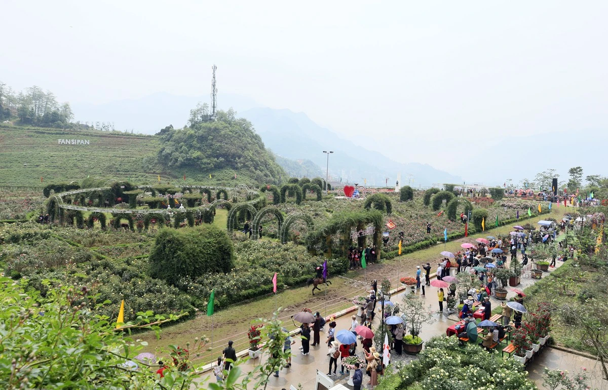 Chủ động nắm thời cơ giúp du lịch Sa Pa tăng trưởng nhanh trở lại.