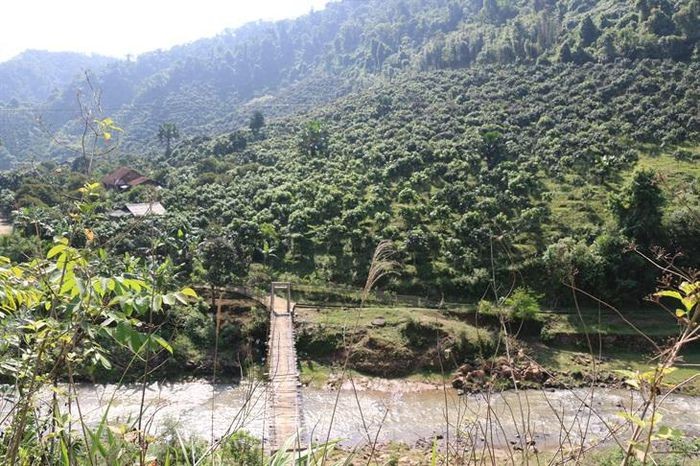 Lan tỏa phong trào vượt khó thoát nghèo ảnh 1