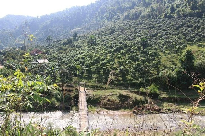 Lan tỏa phong trào vượt khó thoát nghèo ảnh 1