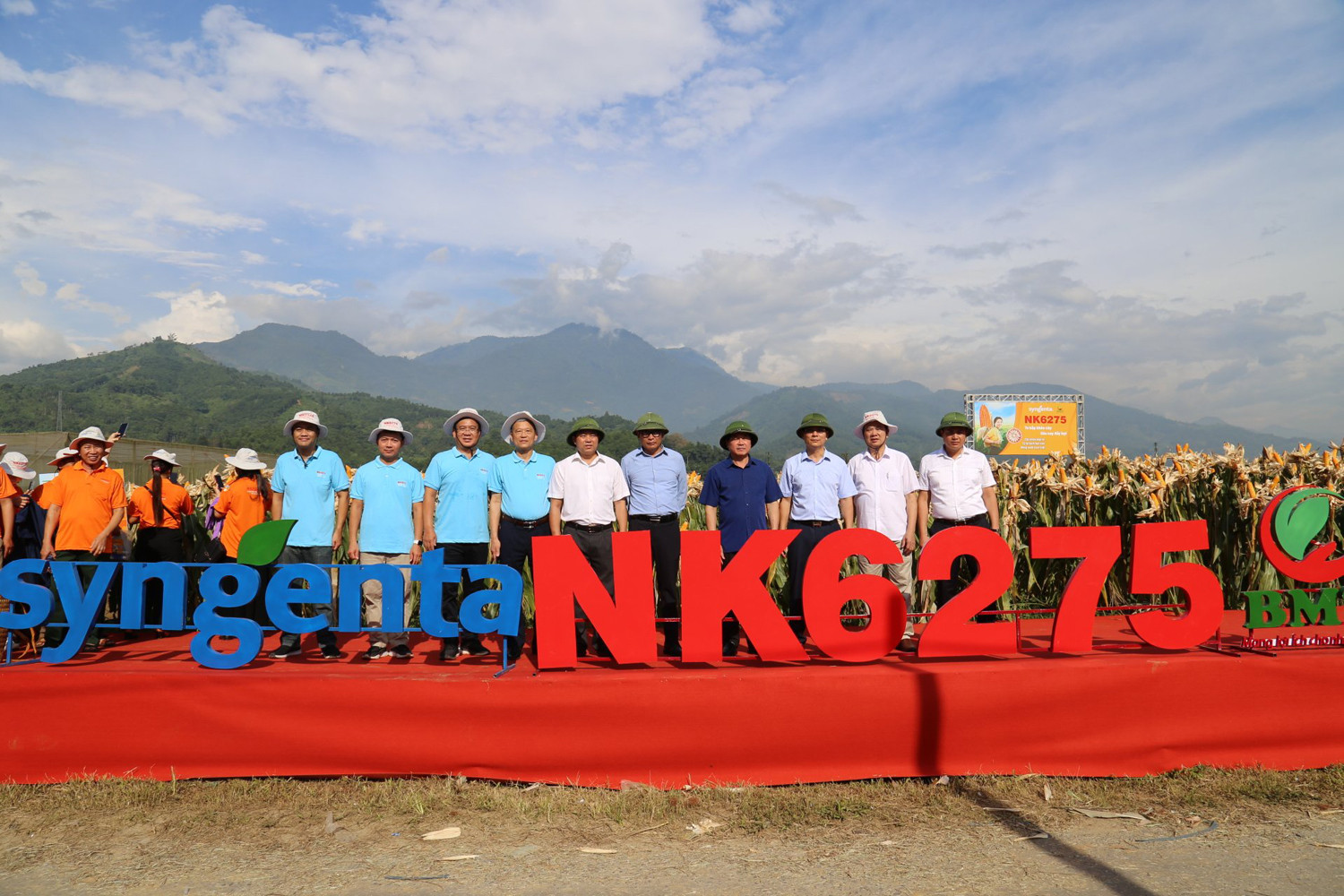 Giống ngô lai đơn F1 NK6275 chính thức được ra mắt tại Lào Cai.