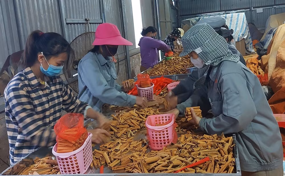 Phát huy thế mạnh về nông nghiệp hữu cơ ảnh 2