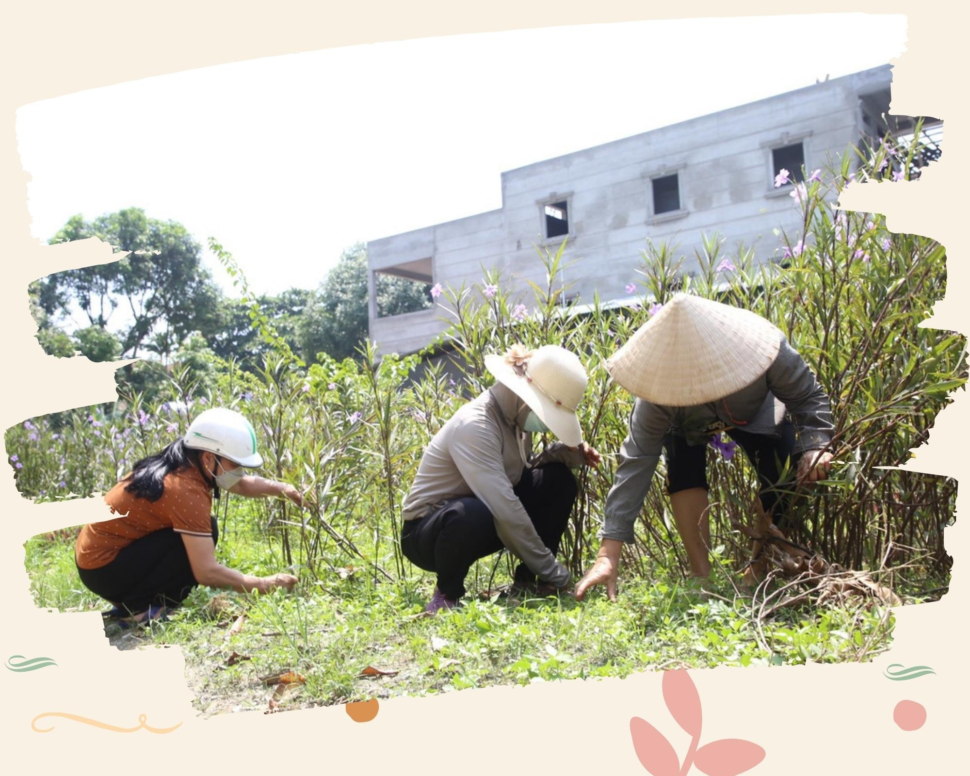 Khi bãi rác… nở hoa ảnh 2 Khi bãi rác… nở hoa ảnh 2