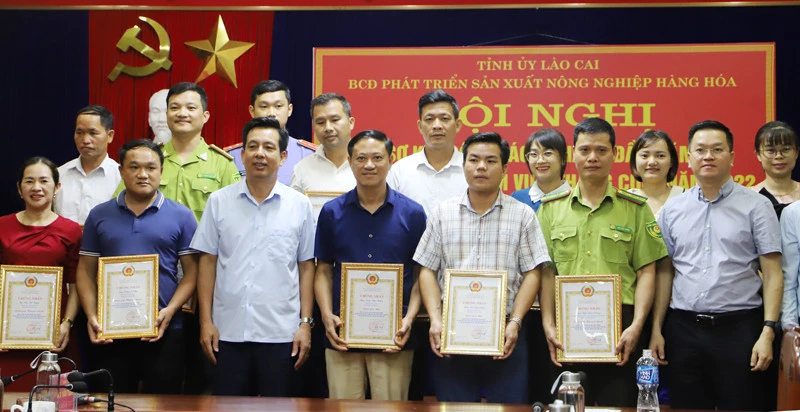 Tăng cường tuyên truyền, quyết liệt trong chỉ đạo, tổ chức thực hiện Nghị quyết 10-NQ/TU ảnh 6