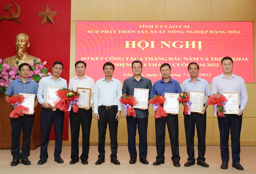 Tăng cường tuyên truyền, quyết liệt trong chỉ đạo, tổ chức thực hiện Nghị quyết 10-NQ/TU ảnh 5