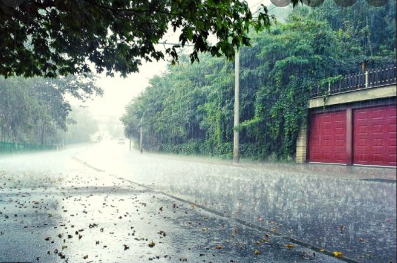 Mưa diện rộng tiếp tục bao phủ các địa phương trong tỉnh ảnh 1 Mưa diện rộng tiếp tục bao phủ các địa phương trong tỉnh ảnh 1