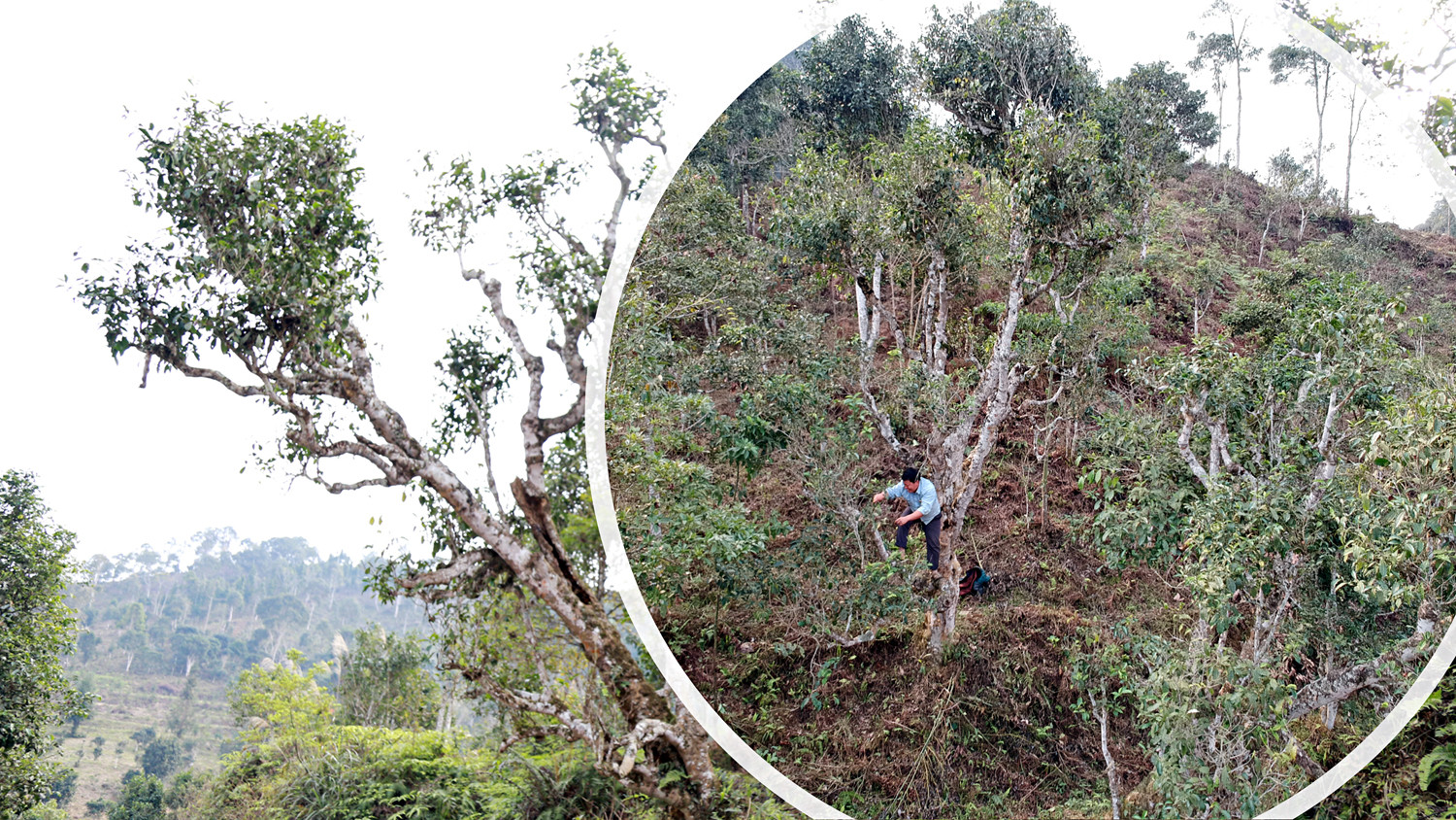 Mở ra cơ hội thoát nghèo cho người dân ảnh 6 Mở ra cơ hội thoát nghèo cho người dân ảnh 6