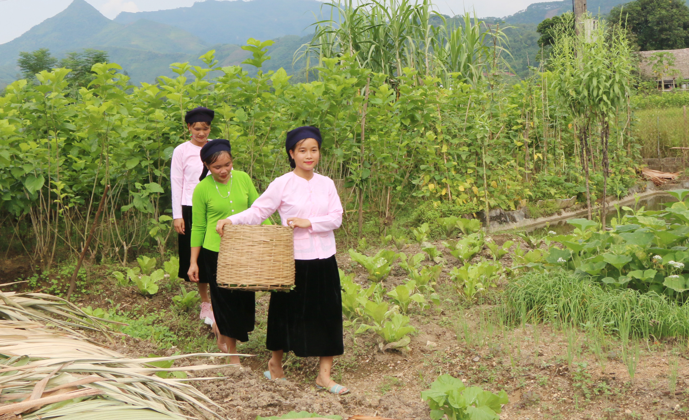 Du lịch cộng đồng - sinh kế bền vững cho người dân ảnh 5