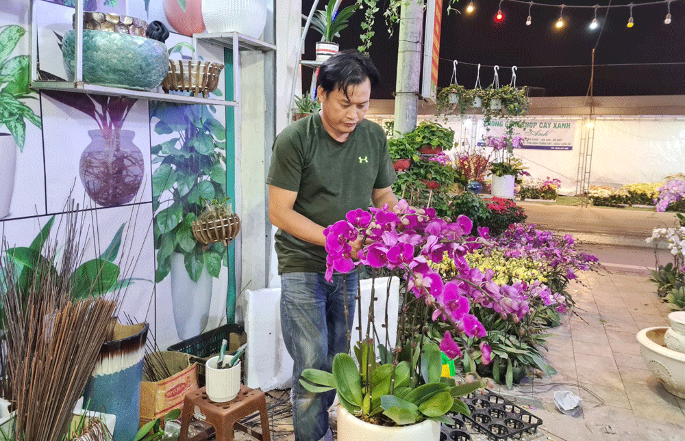 Công việc “hái” ra tiền mỗi dịp Tết đến ảnh 1 Công việc “hái” ra tiền mỗi dịp Tết đến ảnh 1