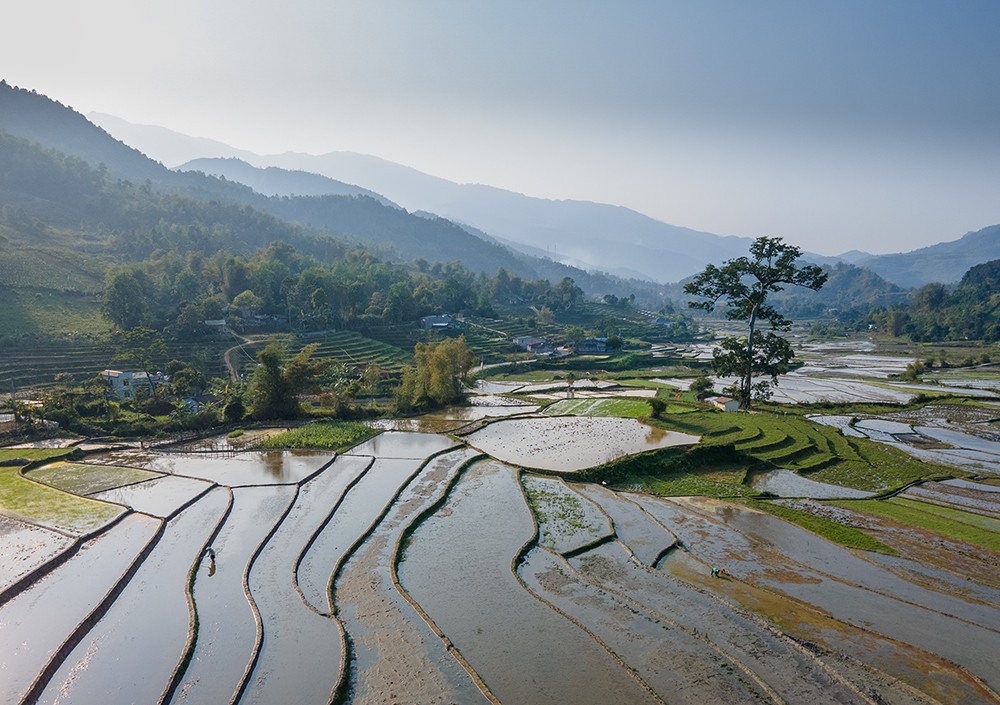 Hợp Thành mùa nước đổ: Bức bích họa của thành phố Lào Cai ảnh 4 Hợp Thành mùa nước đổ: Bức bích họa của thành phố Lào Cai ảnh 4