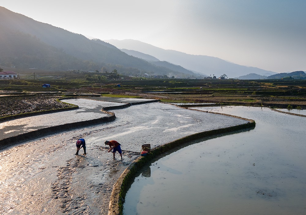 Hợp Thành mùa nước đổ: Bức bích họa của thành phố Lào Cai ảnh 6 Hợp Thành mùa nước đổ: Bức bích họa của thành phố Lào Cai ảnh 6