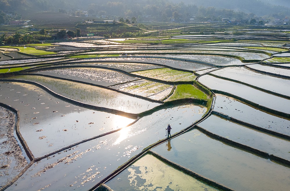 Hợp Thành mùa nước đổ: Bức bích họa của thành phố Lào Cai ảnh 3 Hợp Thành mùa nước đổ: Bức bích họa của thành phố Lào Cai ảnh 3