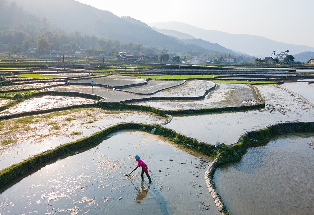 Hợp Thành mùa nước đổ: Bức bích họa của thành phố Lào Cai ảnh 2 Hợp Thành mùa nước đổ: Bức bích họa của thành phố Lào Cai ảnh 2