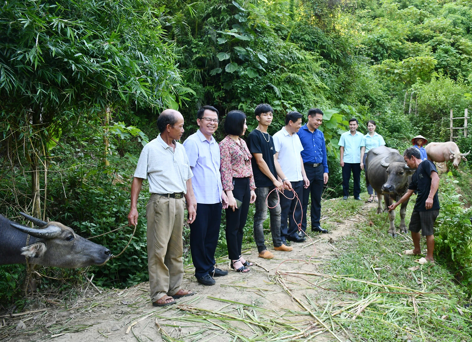 Hỗ trợ 4 hộ nghèo xã Thống Nhất nuôi trâu sinh sản ảnh 4