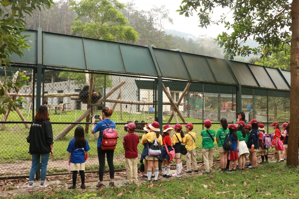 Các đoàn khách trường học sẽ được ưu tiên đón tiếp tại Trung tâm Cứu hộ Gấu Việt Nam. Các đoàn khách trường học sẽ được ưu tiên đón tiếp tại Trung tâm Cứu hộ Gấu Việt Nam.