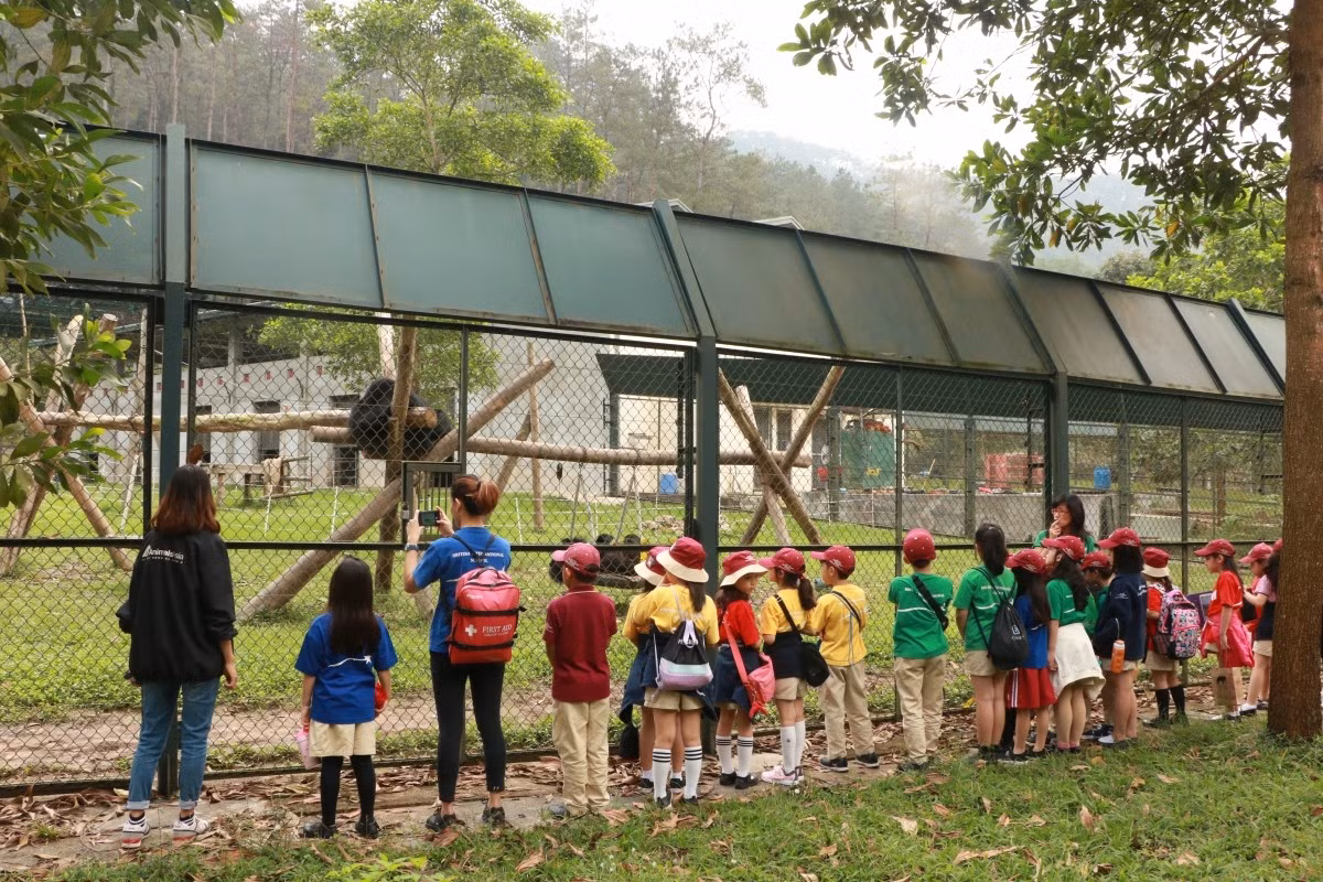 Các đoàn khách trường học sẽ được ưu tiên đón tiếp tại Trung tâm Cứu hộ Gấu Việt Nam. Các đoàn khách trường học sẽ được ưu tiên đón tiếp tại Trung tâm Cứu hộ Gấu Việt Nam.