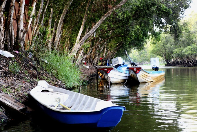 Tân Châu, một lần ghé đến ảnh 1