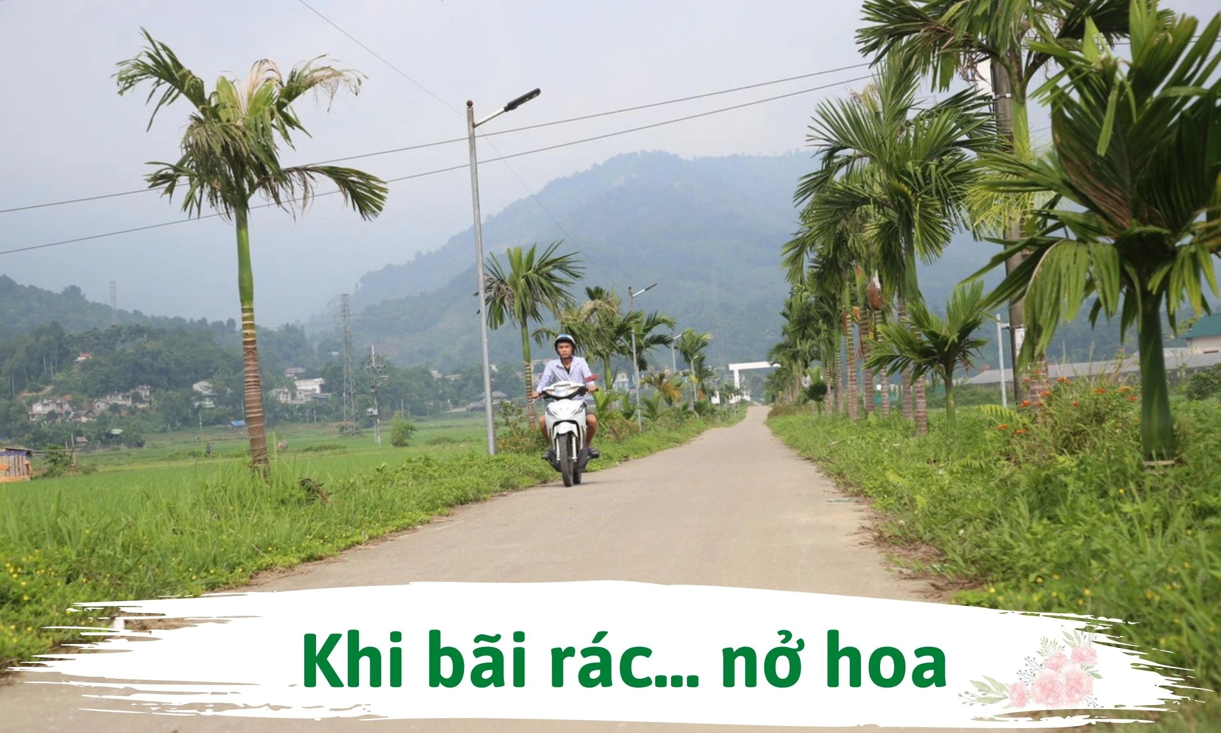 Khi bãi rác… nở hoa ảnh 1