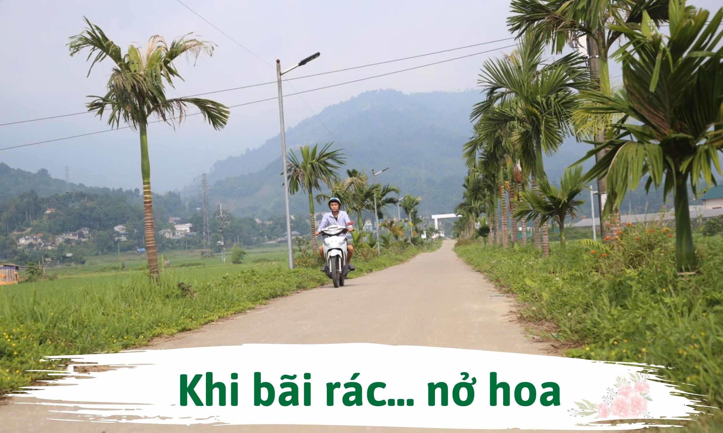 Khi bãi rác… nở hoa ảnh 1