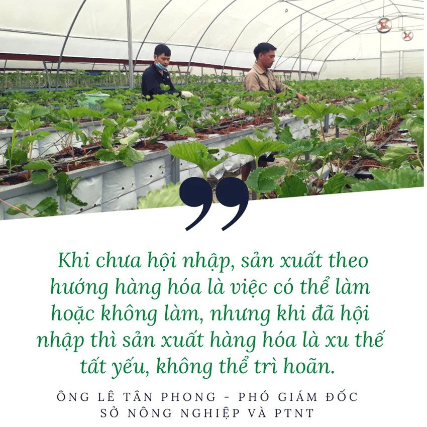 Xu thế tất yếu ảnh 5