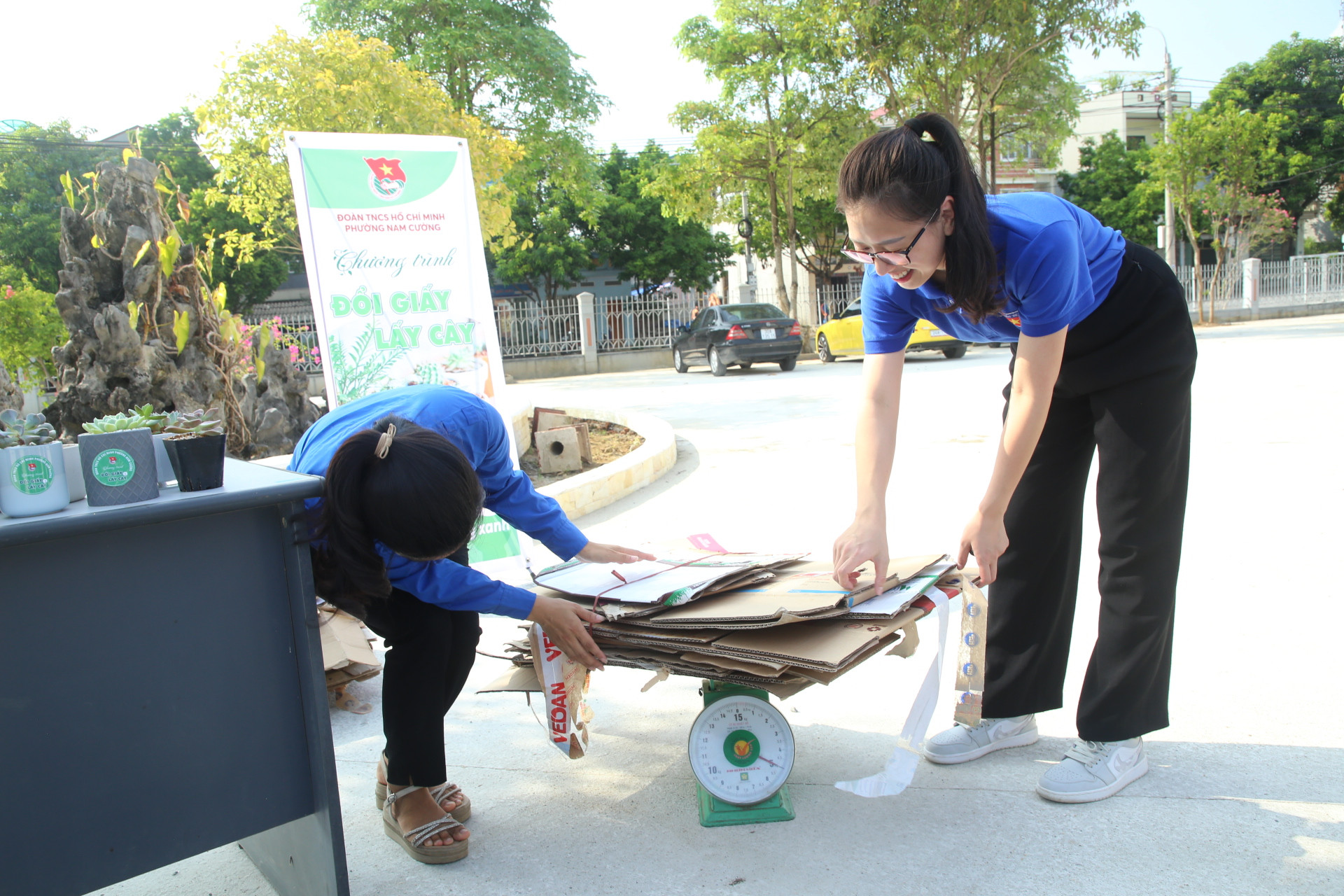 Đoàn Thanh niên phường Nam Cường tổ chức chương trình "Đổi giấy lấy cây xanh" ảnh 2