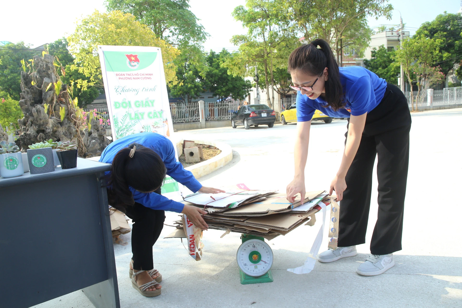 Đoàn Thanh niên phường Nam Cường tổ chức chương trình "Đổi giấy lấy cây xanh" ảnh 2