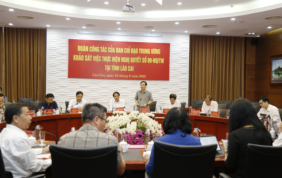 Lào Cai quan tâm xây dựng và phát triển đội ngũ doanh nhân ảnh 1