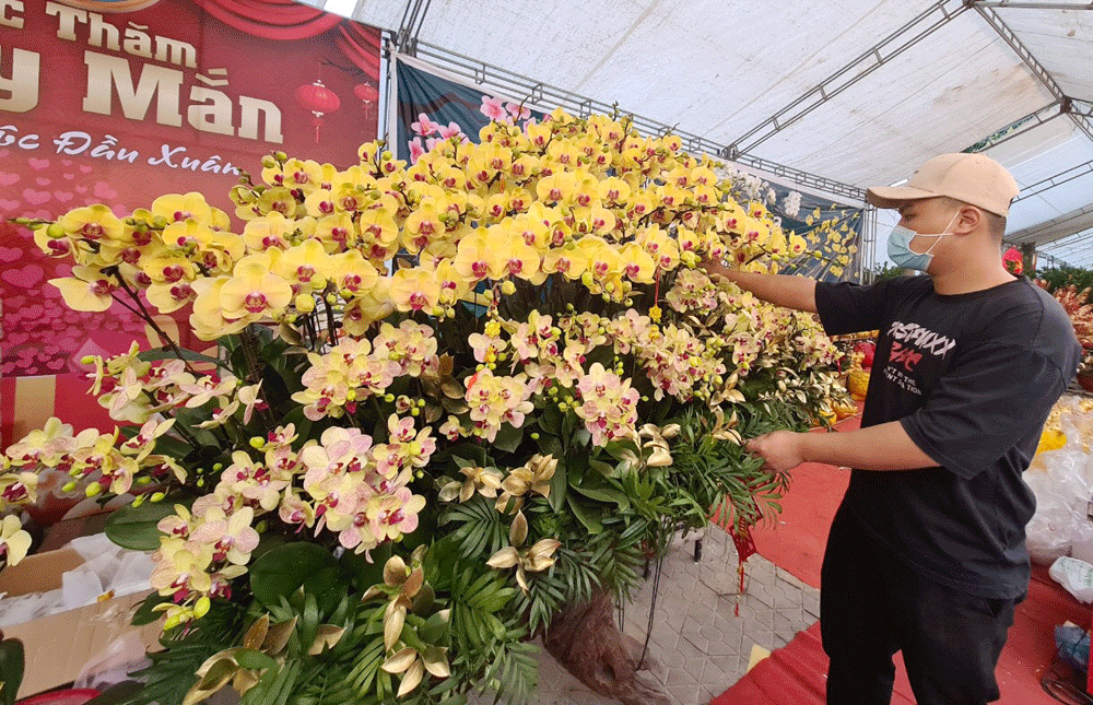 Công việc “hái” ra tiền mỗi dịp Tết đến ảnh 2 Công việc “hái” ra tiền mỗi dịp Tết đến ảnh 2