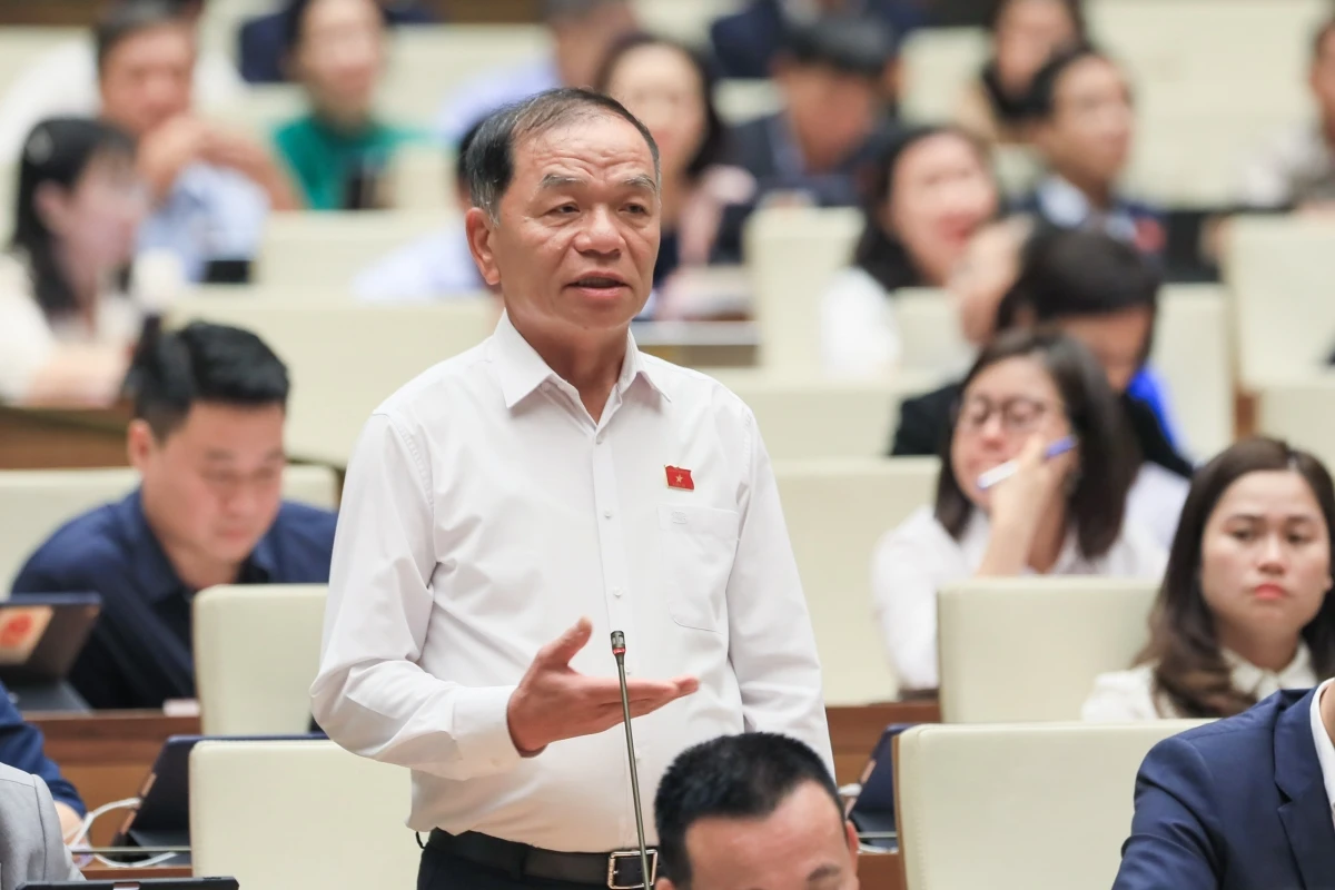 Đại biểu Quốc hội Lê Thanh Vân.