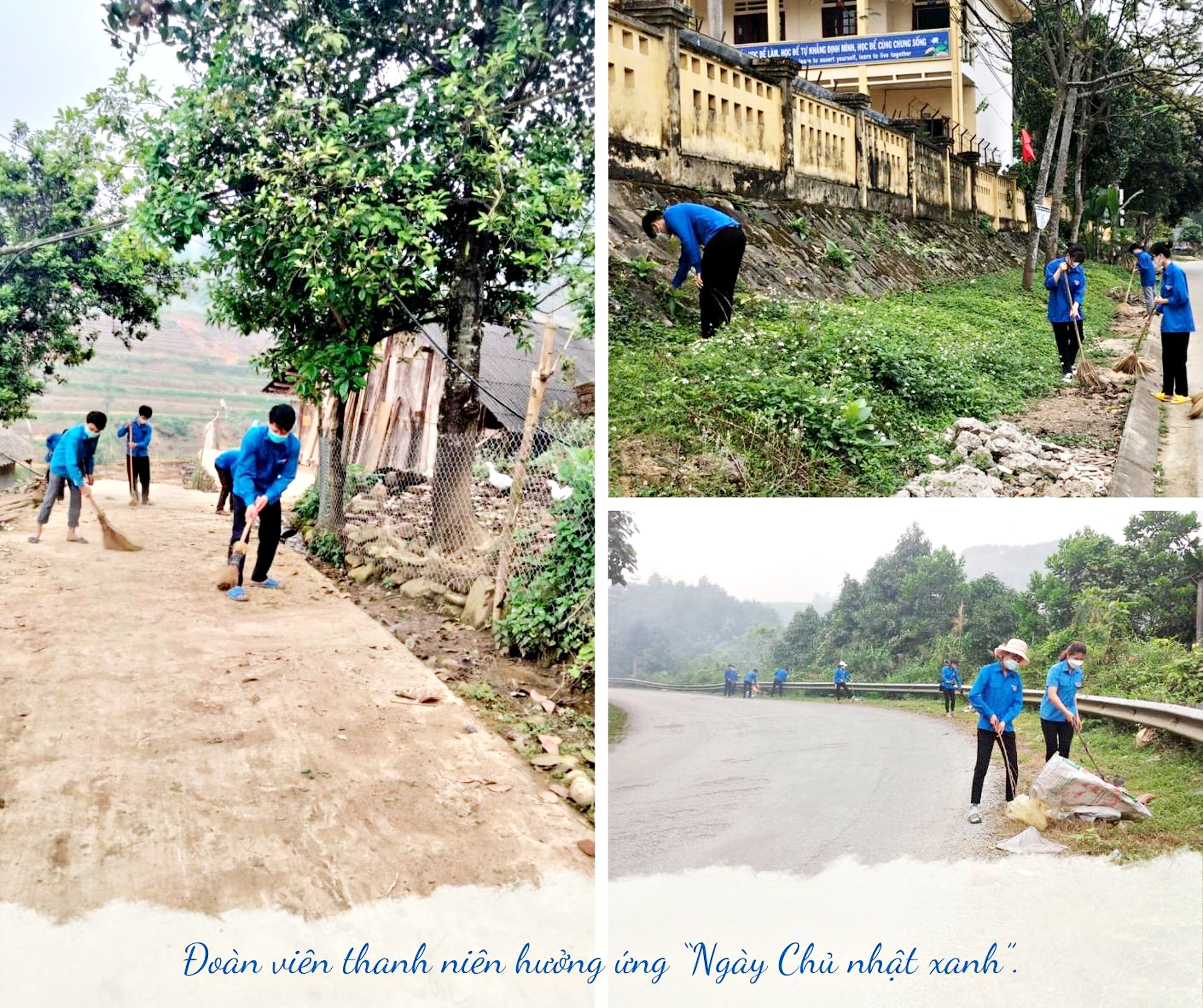 Những Chủ nhật xanh ảnh 3 Những Chủ nhật xanh ảnh 3