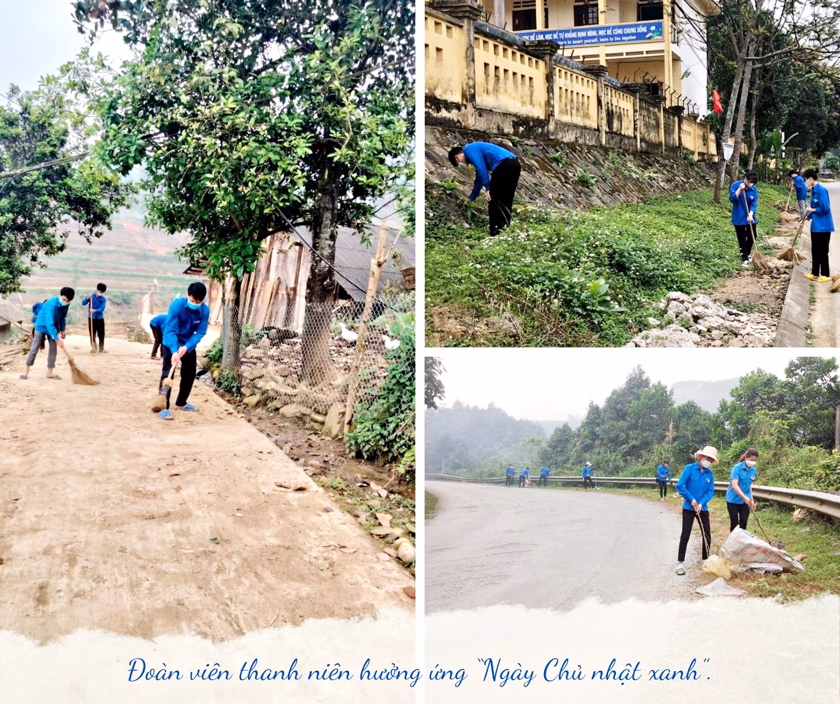 Những Chủ nhật xanh ảnh 3 Những Chủ nhật xanh ảnh 3