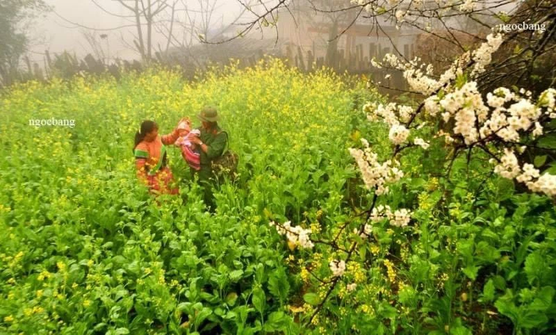 Những giá trị gia đình được định hình và hoàn chỉnh sẽ duy trì được văn hóa gia đình trong thời đại mới.