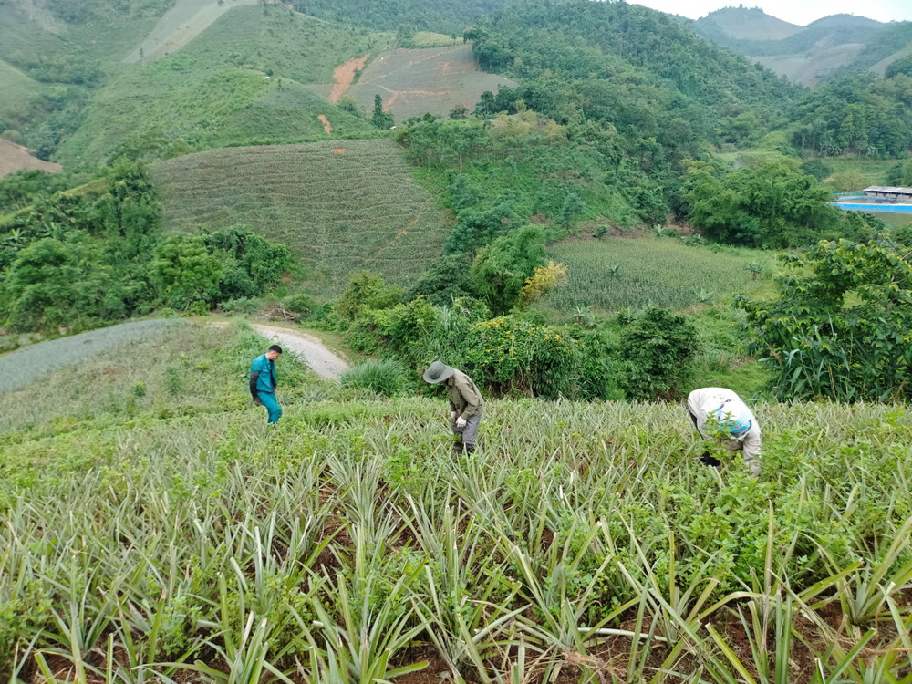 Xu thế tất yếu ảnh 3 Xu thế tất yếu ảnh 3