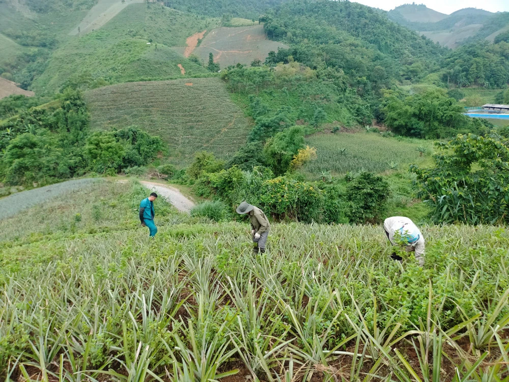 Xu thế tất yếu ảnh 3