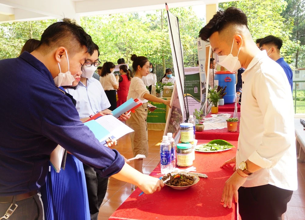 Chung kết Cuộc thi “Sinh viên nông lâm – Sáng tạo khởi nghiệp” ảnh 1
