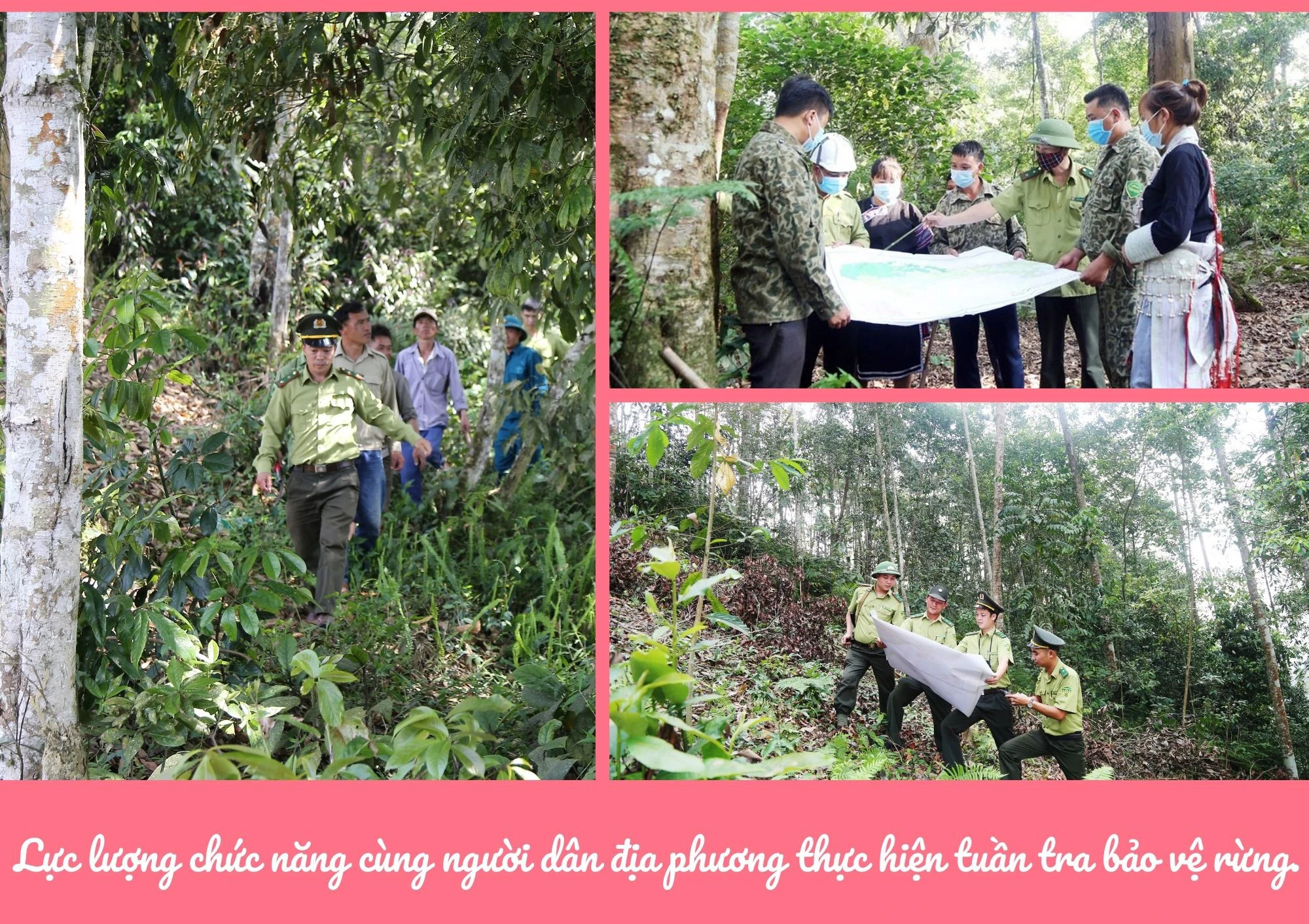 Rừng được phủ xanh, người dân có thu nhập ảnh 2