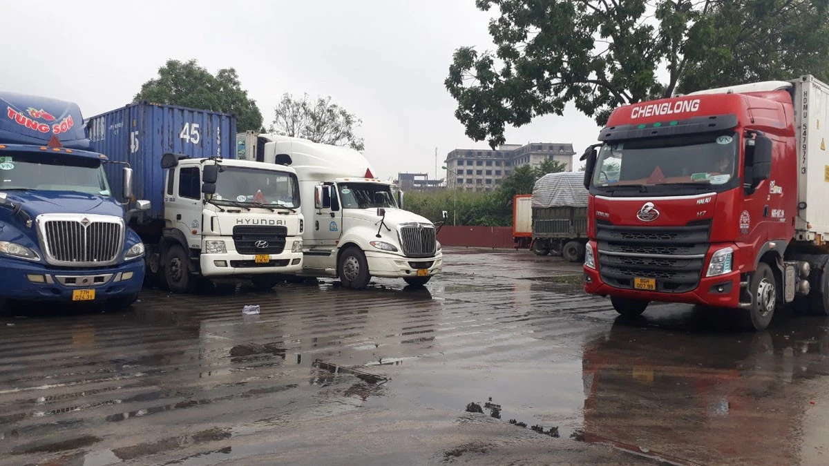 Xuất khẩu trái cây tươi sang Trung Quốc vẫn rất khó khăn ảnh 2 Xuất khẩu trái cây tươi sang Trung Quốc vẫn rất khó khăn ảnh 2