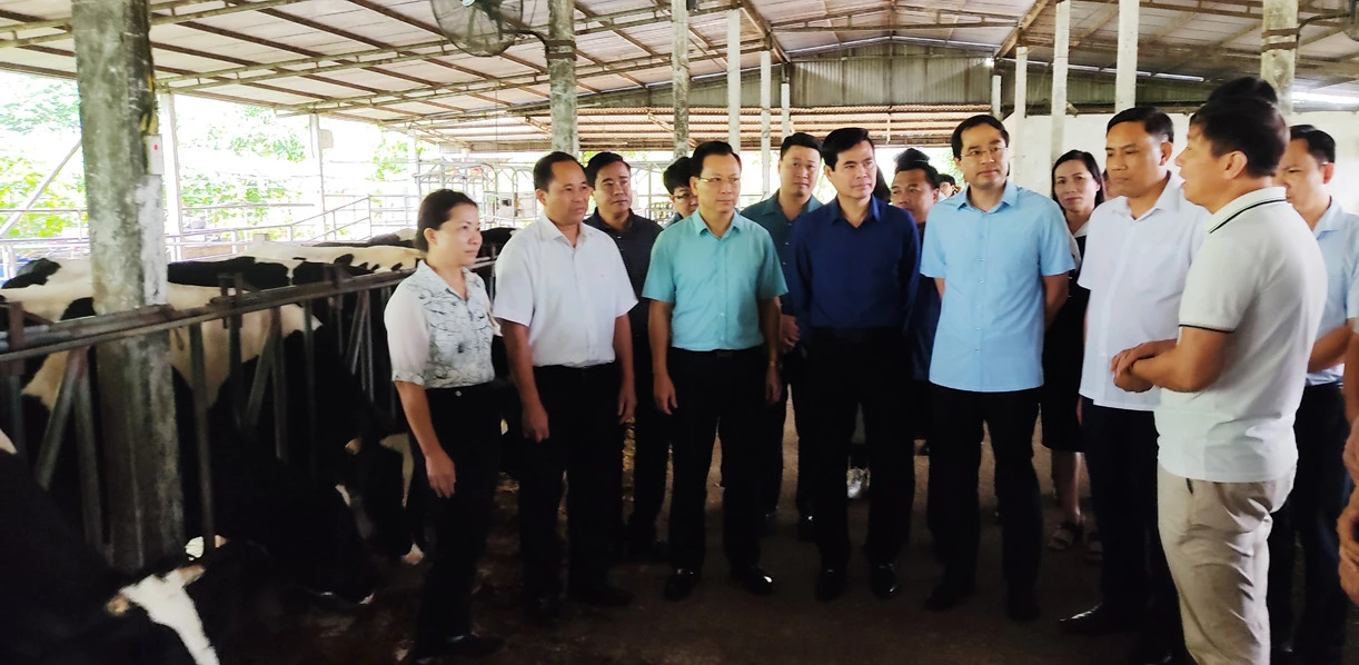 Đoàn công tác tỉnh Lào Cai khảo sát, trao đổi kinh nghiệm sản xuất nông nghiệp, du lịch tại tỉnh Sơn La ảnh 11 Đoàn công tác tỉnh Lào Cai khảo sát, trao đổi kinh nghiệm sản xuất nông nghiệp, du lịch tại tỉnh Sơn La ảnh 11