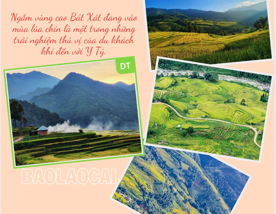 Chọn Y Tý, du khách thỏa lòng với phong cảnh hoang sơ ảnh 2