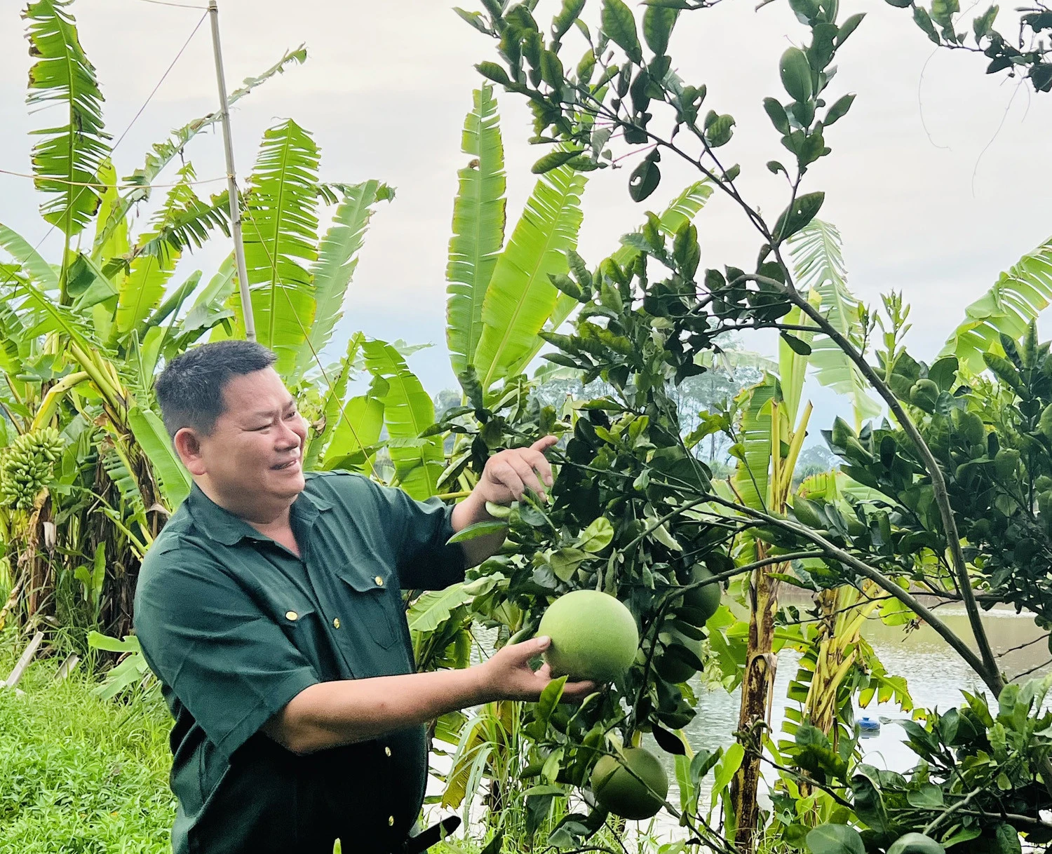 Ông Phạm Văn Hinh là điển hình trong phát triển kinh tế ở địa phương.