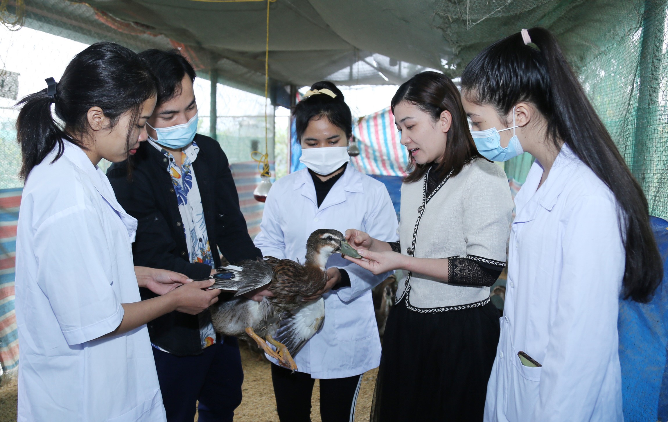 Giảng viên Nguyễn Thị Út và các bạn sinh viên Lào trong một giờ học về vịt Sín Chéng.