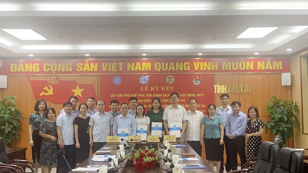 Phối hợp thực hiện chính sách pháp luật BHXH, BHYT giữa Bảo hiểm xã hội tỉnh và Hội Liên hiệp Phụ nữ, Hội Nông dân, Tỉnh đoàn Lào Cai. ảnh 3