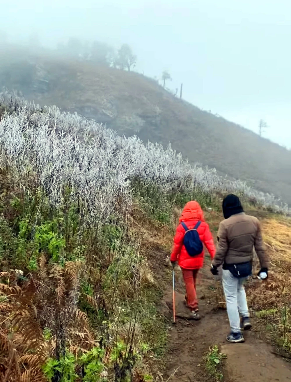 Du khách thích thú "săn" băng giá trên các đỉnh núi cao tại Bát Xát ảnh 3