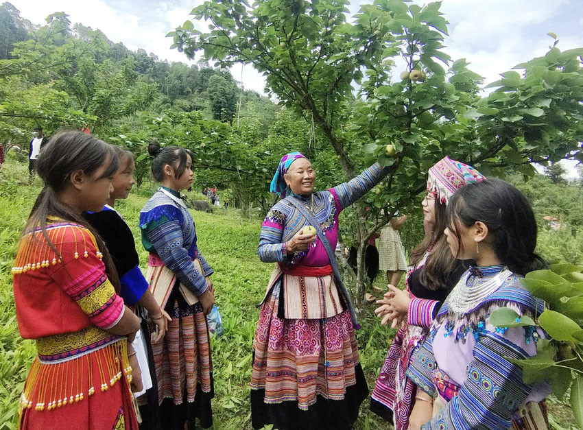 Đồng bào dân tộc vùng cao chủ động phát triển sản xuất, làm chủ các mô hình kinh tế. Đồng bào dân tộc vùng cao chủ động phát triển sản xuất, làm chủ các mô hình kinh tế.