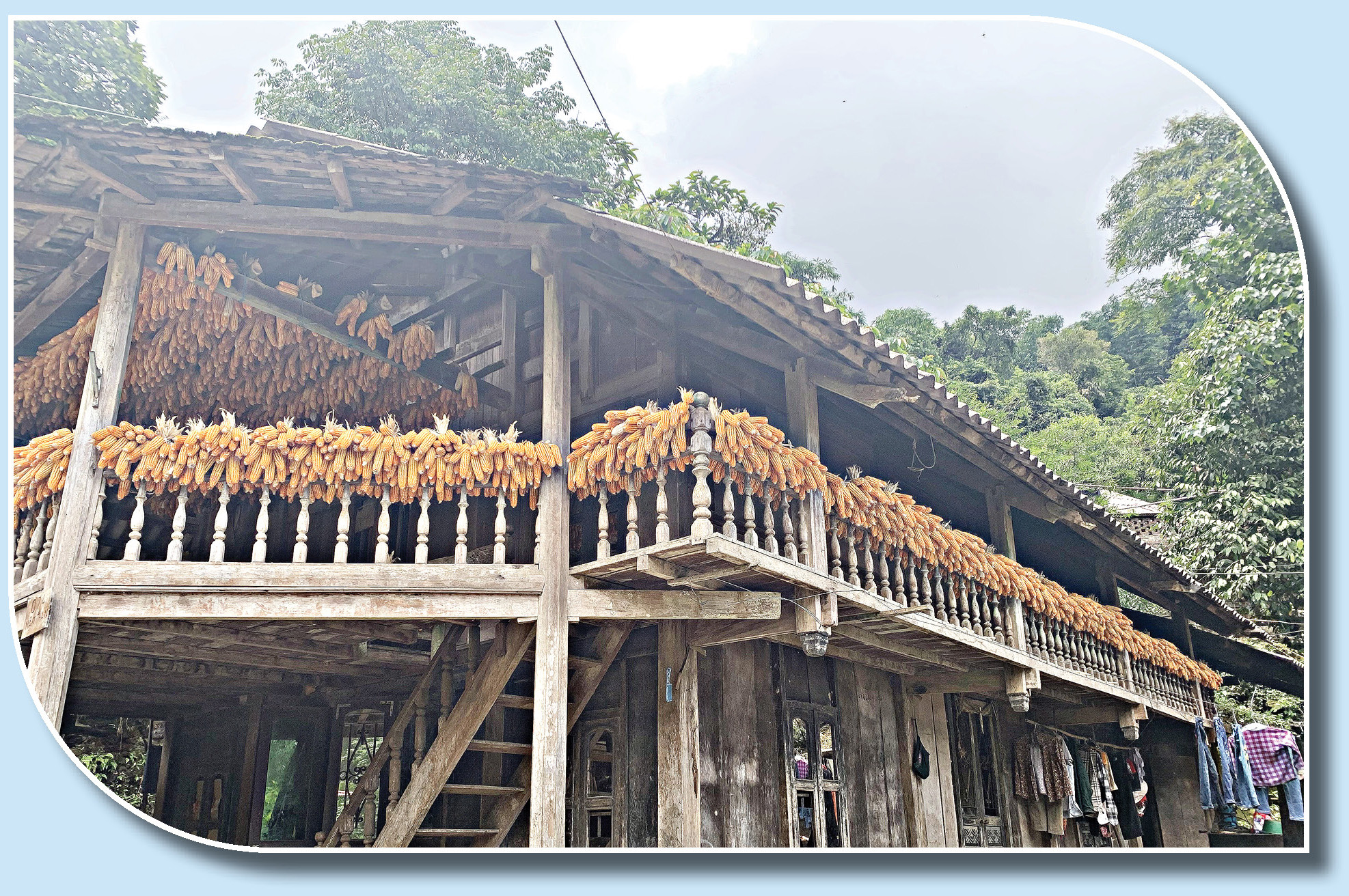 Trở lại Nậm Cang ảnh 6