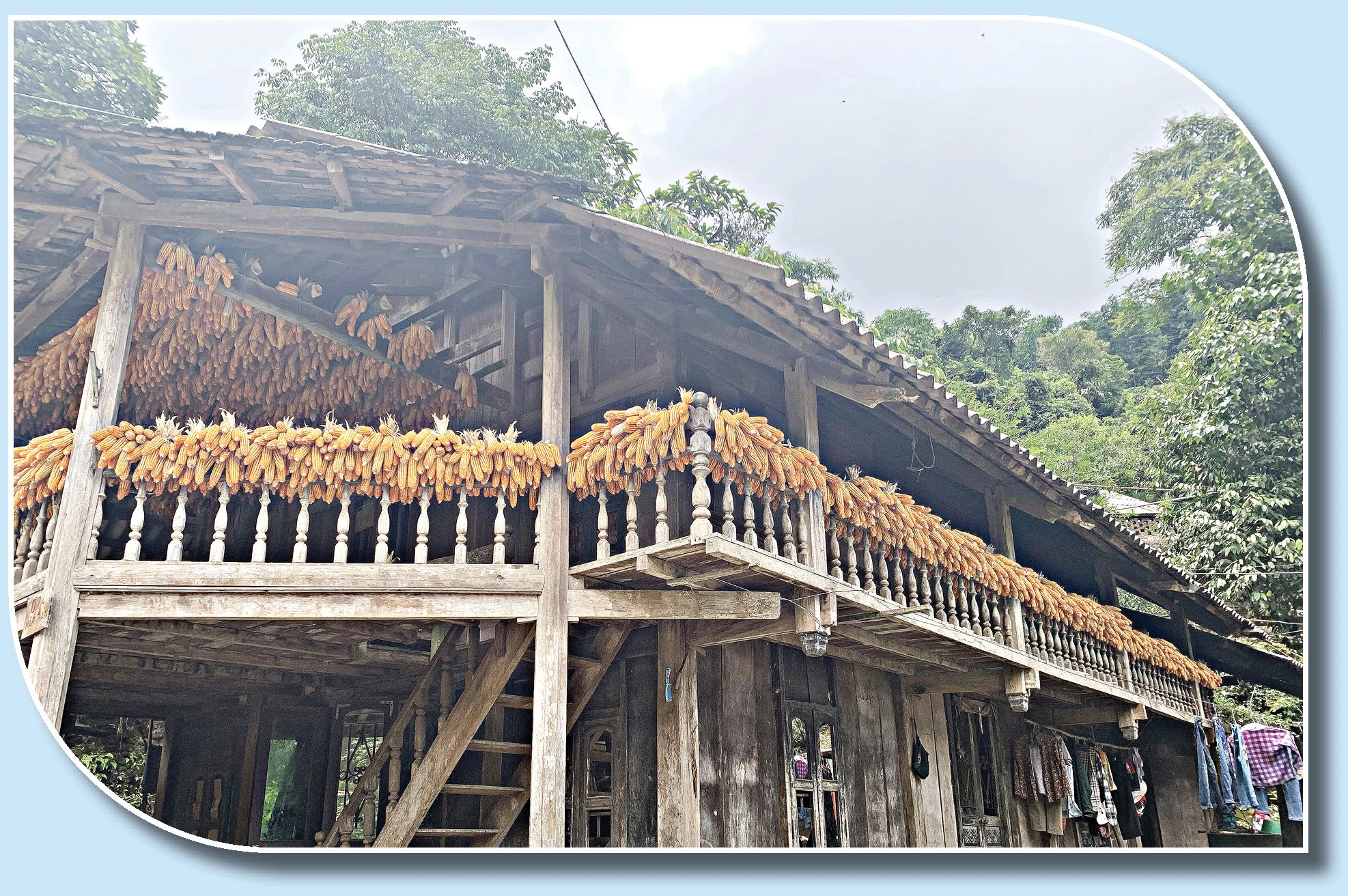 Trở lại Nậm Cang ảnh 6