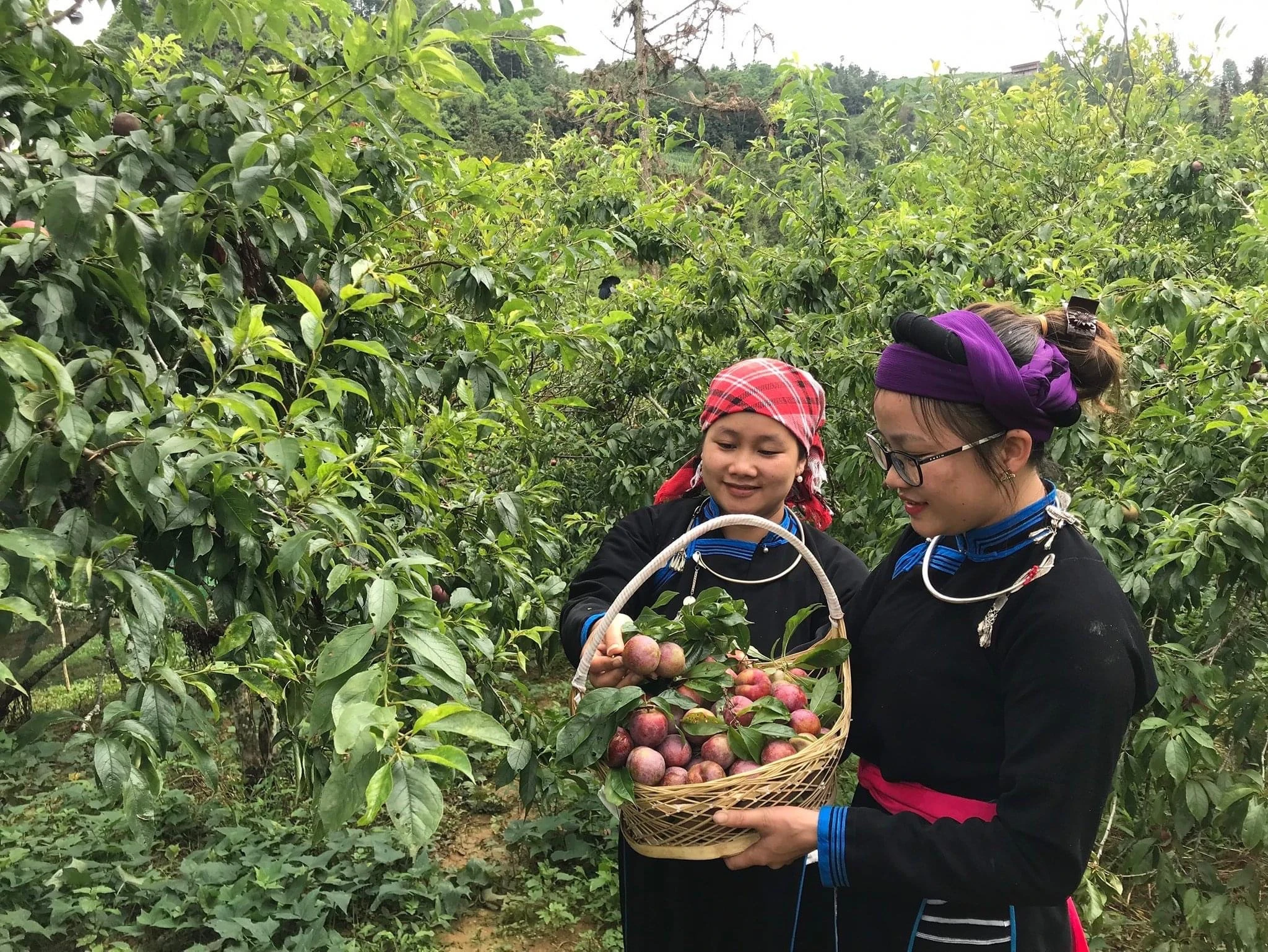 Vòng chung kết Giải đua “Vó ngựa cao nguyên trắng” hứa hẹn kịch tính, hấp dẫn ảnh 3