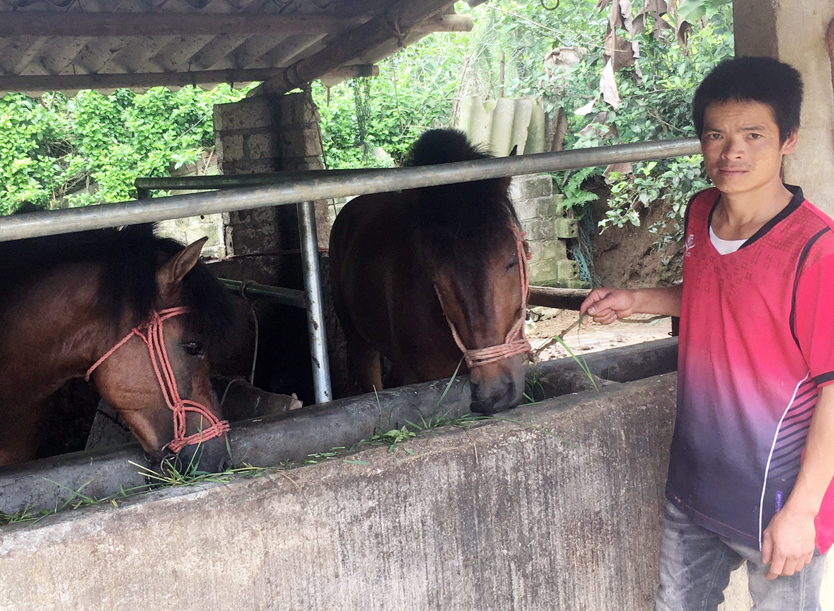 Vòng chung kết Giải đua “Vó ngựa cao nguyên trắng” hứa hẹn kịch tính, hấp dẫn ảnh 4